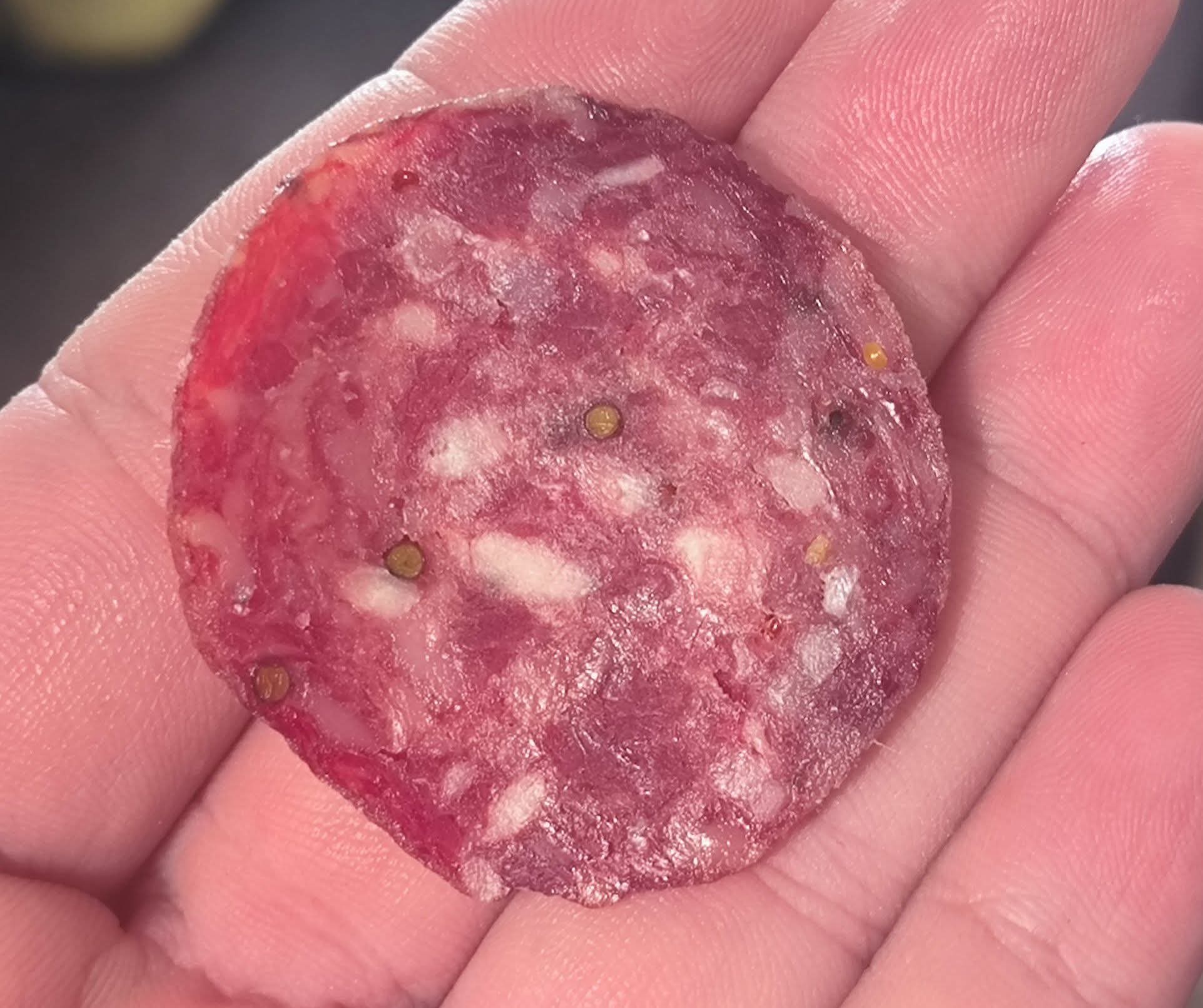 סלמי חרדל מותסס