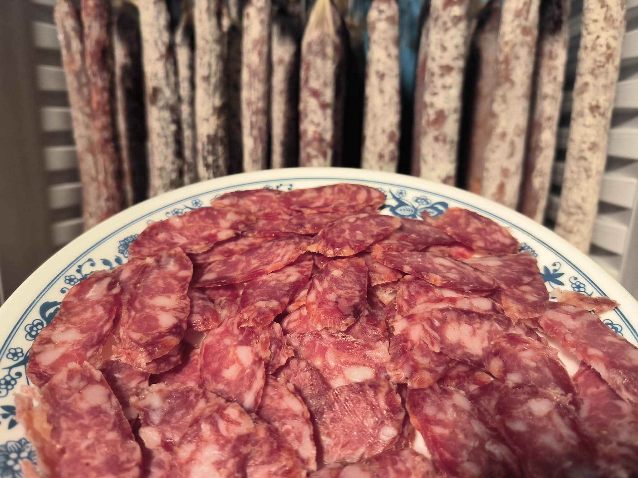 סוסיסון אלזסי